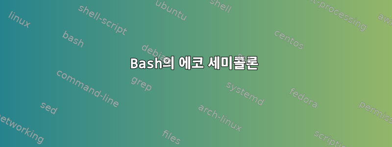 Bash의 에코 세미콜론