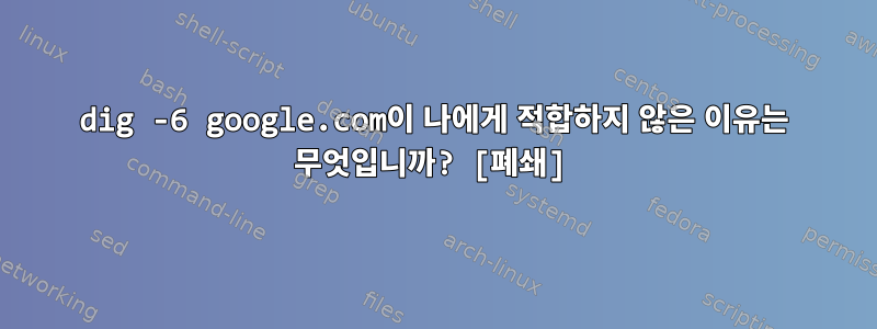 dig -6 google.com이 나에게 적합하지 않은 이유는 무엇입니까? [폐쇄]