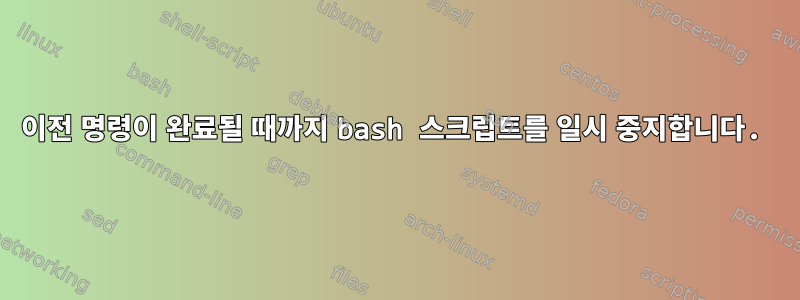 이전 명령이 완료될 때까지 bash 스크립트를 일시 중지합니다.