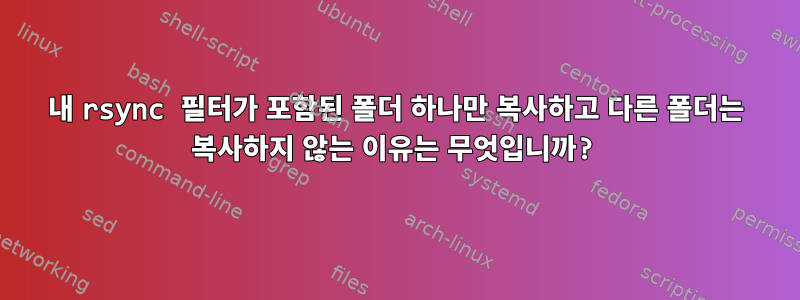 내 rsync 필터가 포함된 폴더 하나만 복사하고 다른 폴더는 복사하지 않는 이유는 무엇입니까?