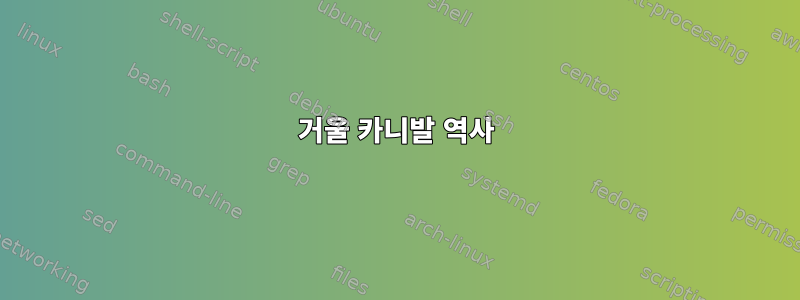 거울 카니발 역사