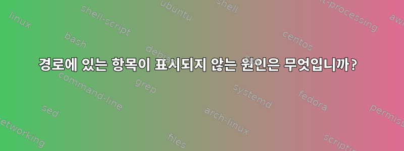 경로에 있는 항목이 표시되지 않는 원인은 무엇입니까?