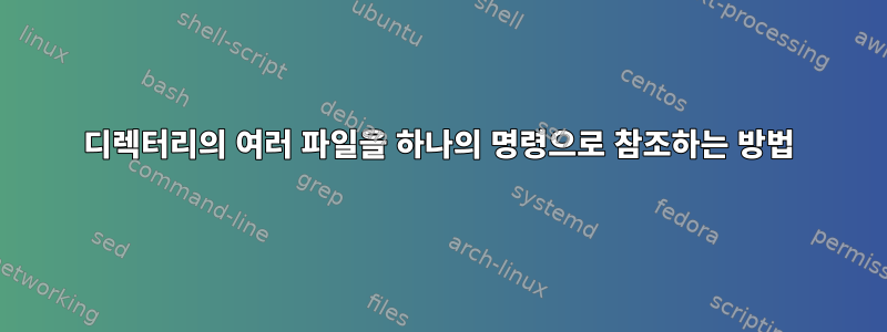 디렉터리의 여러 파일을 하나의 명령으로 참조하는 방법