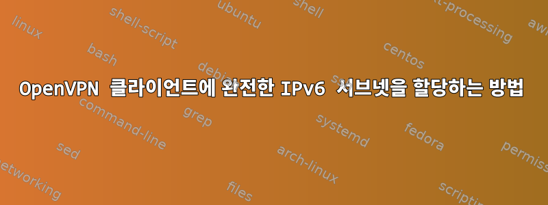 OpenVPN 클라이언트에 완전한 IPv6 서브넷을 할당하는 방법