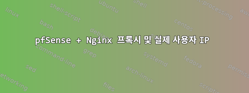 pfSense + Nginx 프록시 및 실제 사용자 IP