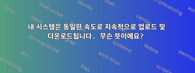 내 시스템은 동일한 속도로 지속적으로 업로드 및 다운로드됩니다. 무슨 뜻이에요?