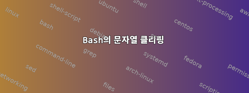 Bash의 문자열 클리핑