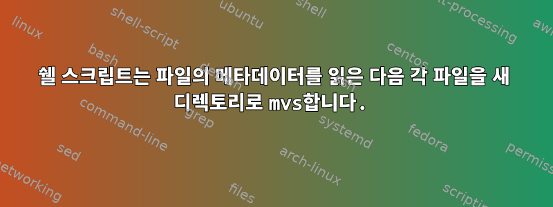 쉘 스크립트는 파일의 메타데이터를 읽은 다음 각 파일을 새 디렉토리로 mvs합니다.