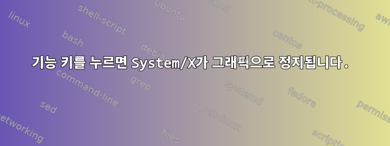 기능 키를 누르면 System/X가 그래픽으로 정지됩니다.