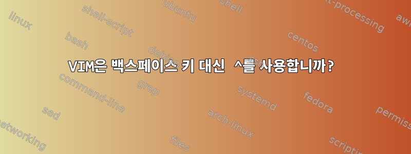 VIM은 백스페이스 키 대신 ^를 사용합니까?