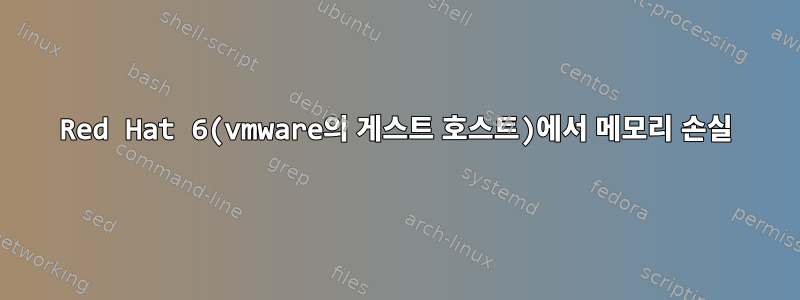 Red Hat 6(vmware의 게스트 호스트)에서 메모리 손실