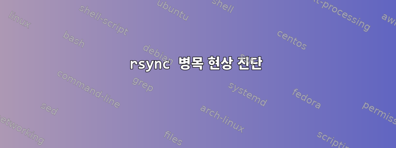 rsync 병목 현상 진단