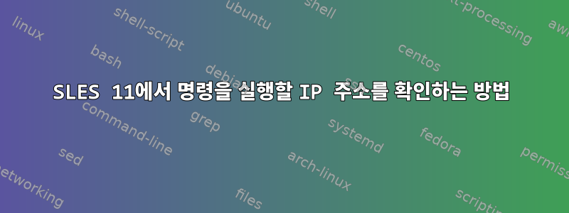 SLES 11에서 명령을 실행할 IP 주소를 확인하는 방법