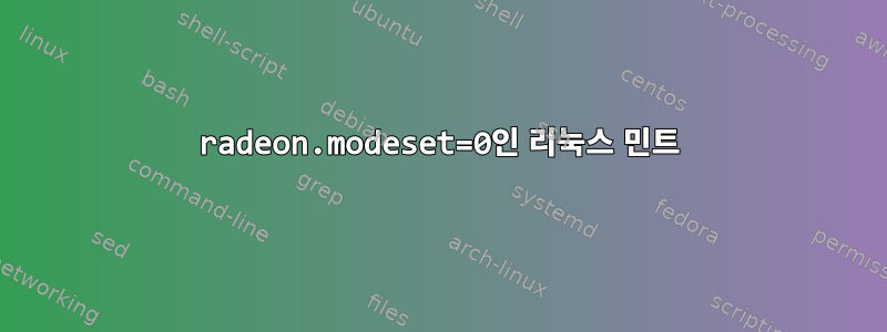 radeon.modeset=0인 리눅스 민트