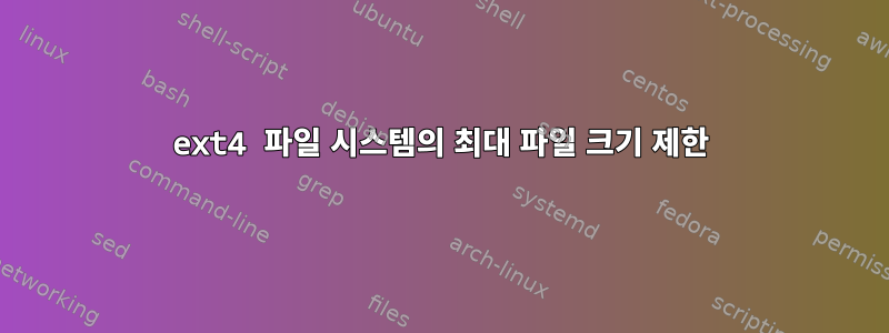 ext4 파일 시스템의 최대 파일 크기 제한