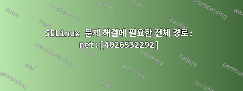 SELinux 문제 해결에 필요한 전체 경로: net:[4026532292]