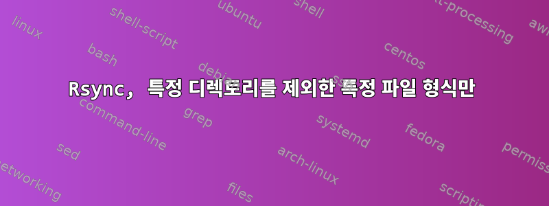 Rsync, 특정 디렉토리를 제외한 특정 파일 형식만