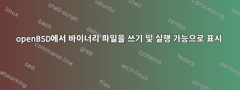 openBSD에서 바이너리 파일을 쓰기 및 실행 가능으로 표시