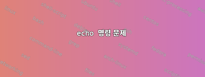 echo 명령 문제