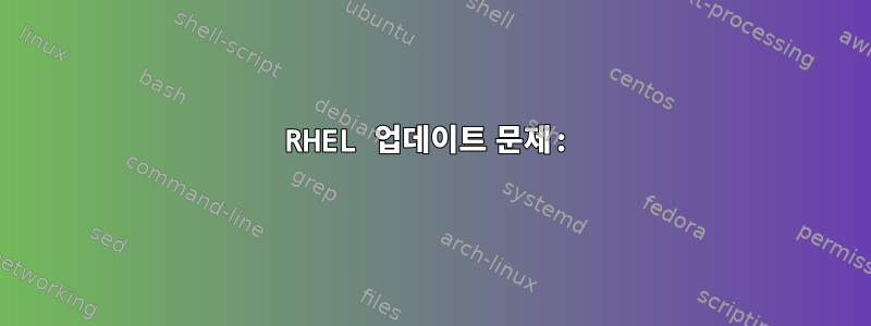 RHEL 업데이트 문제: