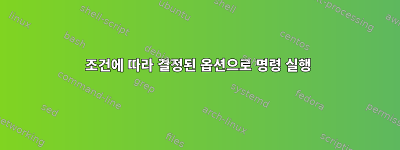 조건에 따라 결정된 옵션으로 명령 실행