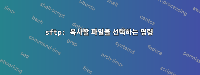 sftp: 복사할 파일을 선택하는 명령