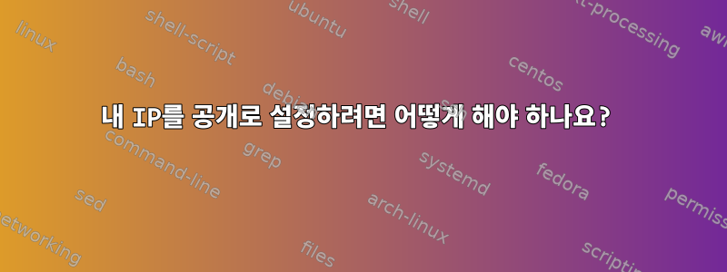 내 IP를 공개로 설정하려면 어떻게 해야 하나요?