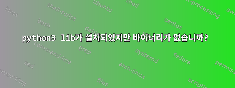 python3 lib가 설치되었지만 바이너리가 없습니까?