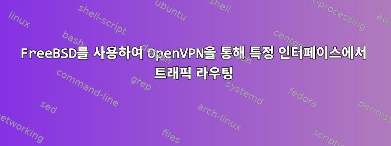 FreeBSD를 사용하여 OpenVPN을 통해 특정 인터페이스에서 트래픽 라우팅