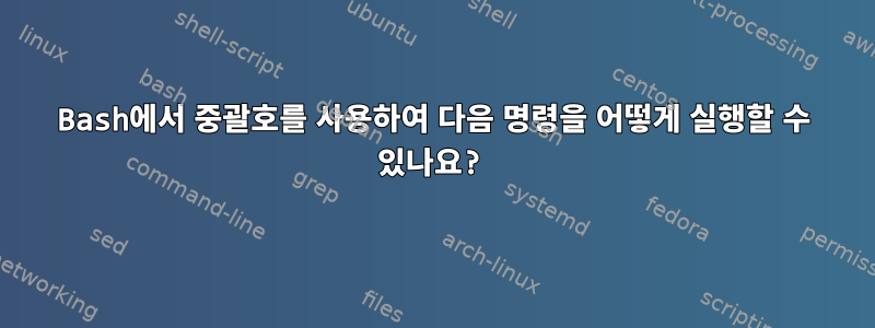 Bash에서 중괄호를 사용하여 다음 명령을 어떻게 실행할 수 있나요?