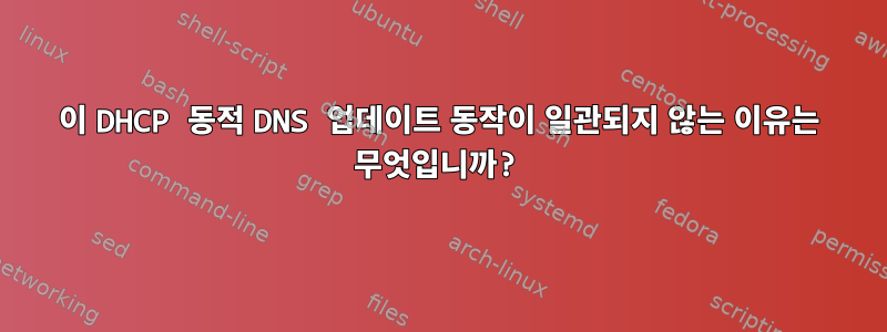 이 DHCP 동적 DNS 업데이트 동작이 일관되지 않는 이유는 무엇입니까?