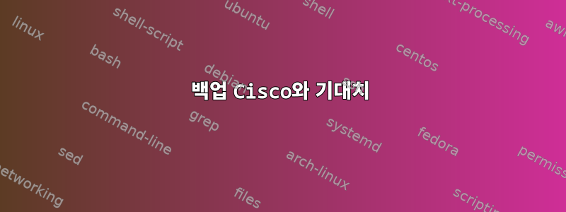 백업 Cisco와 기대치