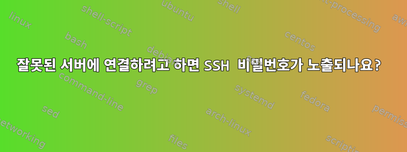 잘못된 서버에 연결하려고 하면 SSH 비밀번호가 노출되나요?