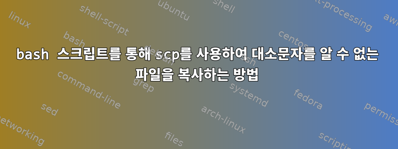 bash 스크립트를 통해 scp를 사용하여 대소문자를 알 수 없는 파일을 복사하는 방법