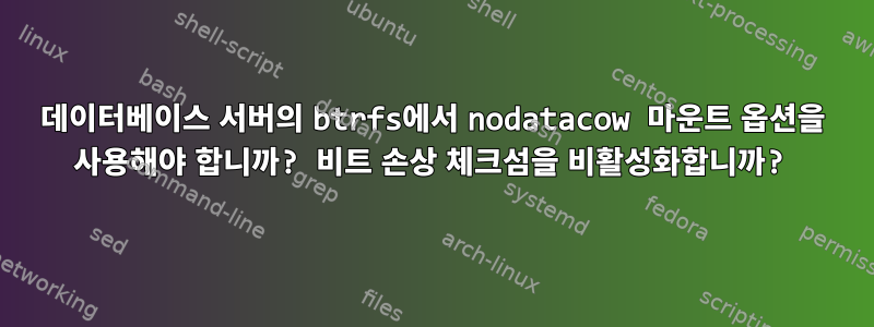 데이터베이스 서버의 btrfs에서 nodatacow 마운트 옵션을 사용해야 합니까? 비트 손상 체크섬을 비활성화합니까?