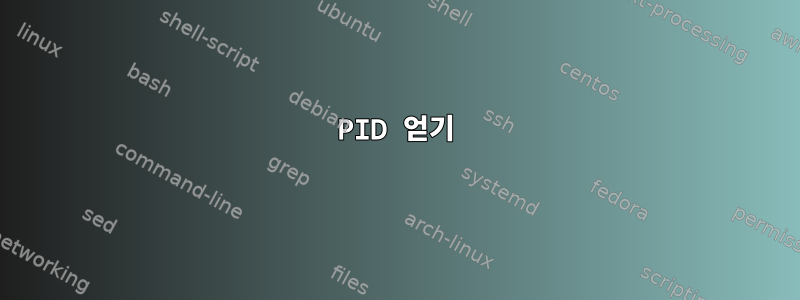 PID 얻기