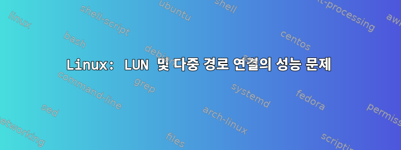 Linux: LUN 및 다중 경로 연결의 성능 문제