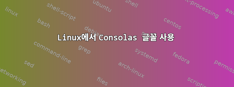 Linux에서 Consolas 글꼴 사용