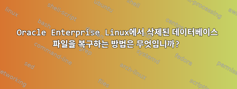 Oracle Enterprise Linux에서 삭제된 데이터베이스 파일을 복구하는 방법은 무엇입니까?