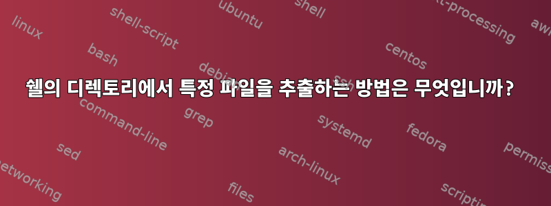 쉘의 디렉토리에서 특정 파일을 추출하는 방법은 무엇입니까?