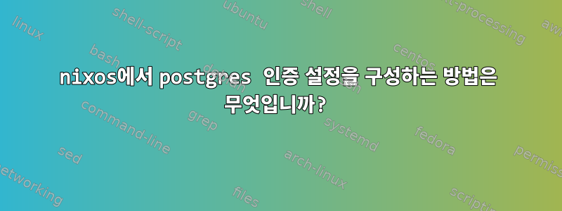 nixos에서 postgres 인증 설정을 구성하는 방법은 무엇입니까?