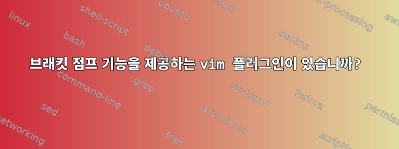 브래킷 점프 기능을 제공하는 vim 플러그인이 있습니까?