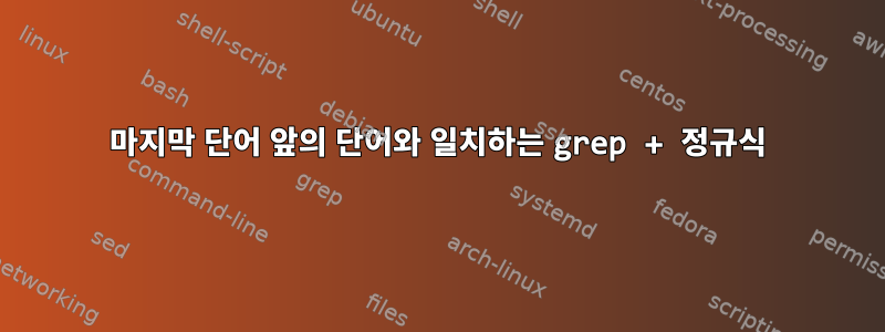 마지막 단어 앞의 단어와 일치하는 grep + 정규식