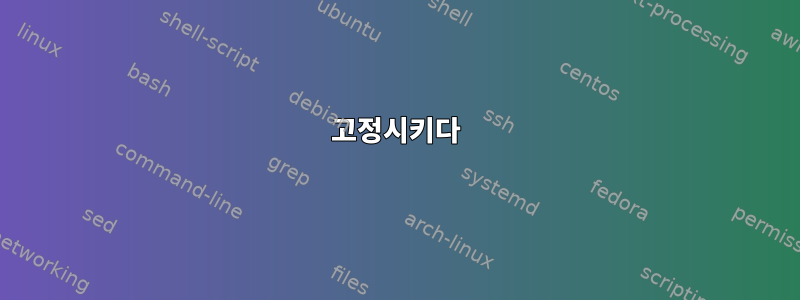 고정시키다