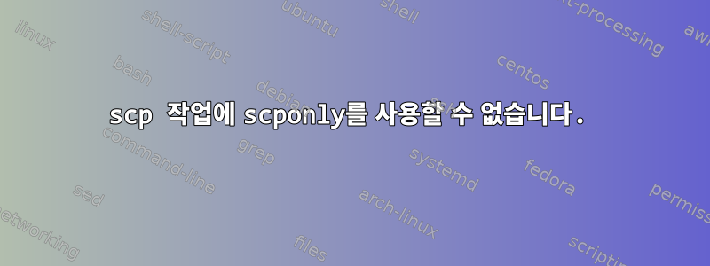 scp 작업에 scponly를 사용할 수 없습니다.