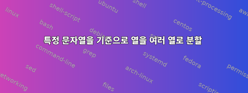 특정 문자열을 기준으로 열을 여러 열로 분할