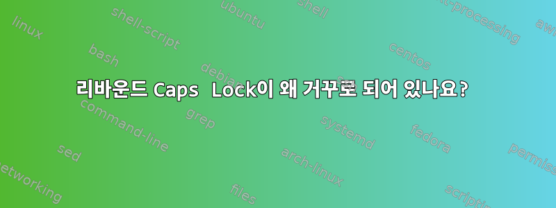 리바운드 Caps Lock이 왜 거꾸로 되어 있나요?