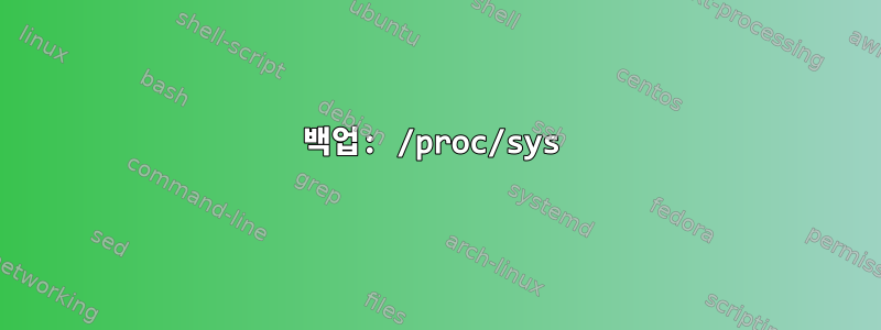 백업: /proc/sys