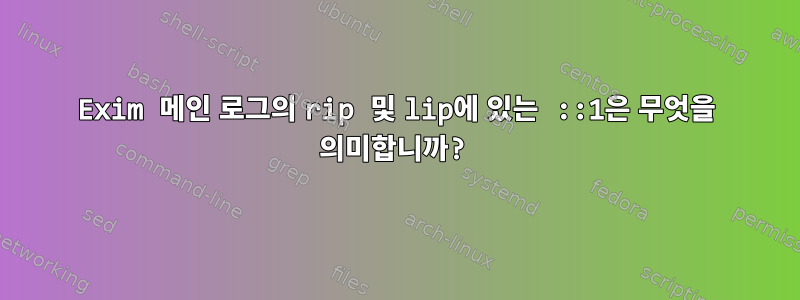 Exim 메인 로그의 rip 및 lip에 있는 ::1은 무엇을 의미합니까?