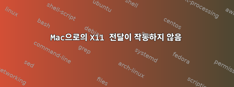 Mac으로의 X11 전달이 작동하지 않음